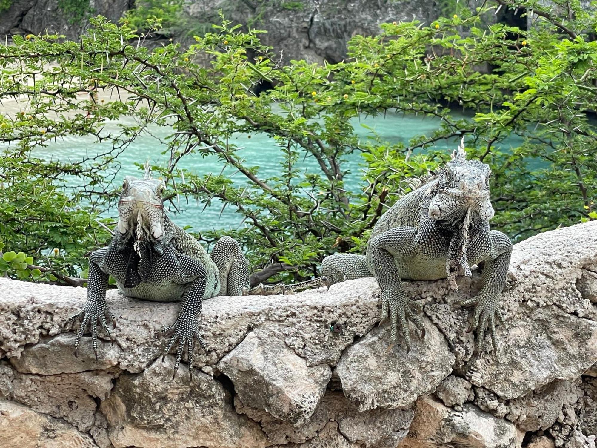 Finisterre Curacao Villa Westpunt Bagian luar foto