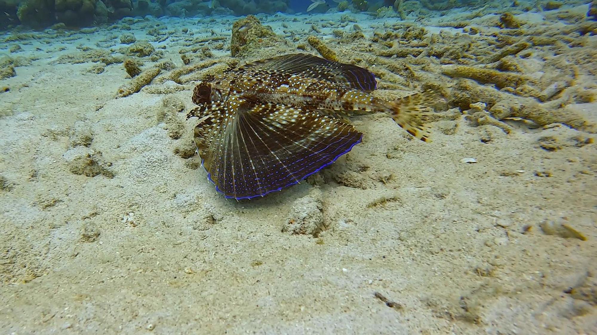 Finisterre Curacao Villa Westpunt Bagian luar foto
