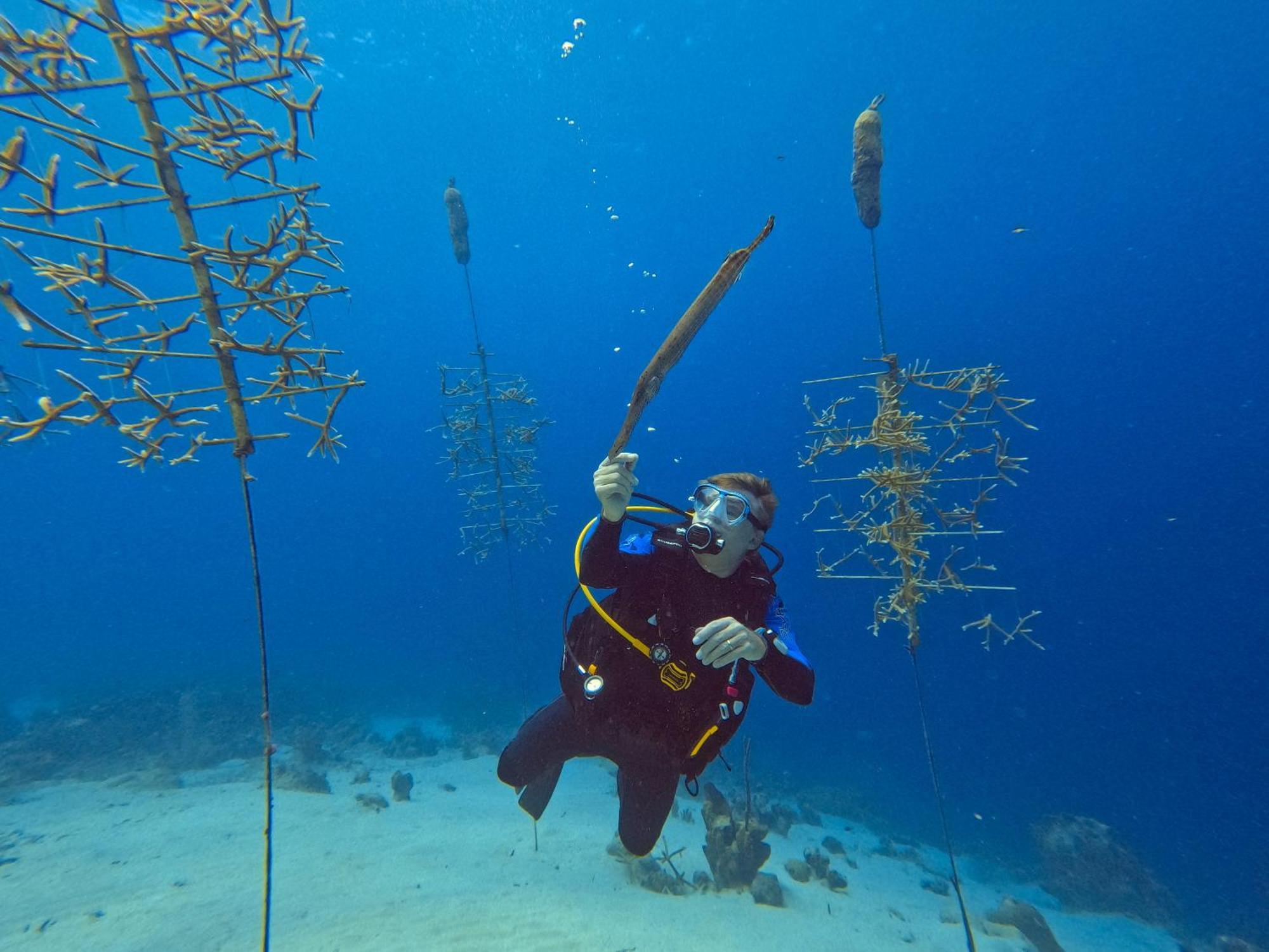 Finisterre Curacao Villa Westpunt Bagian luar foto
